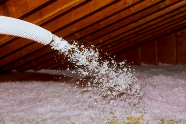 Best Energy Efficiency Solutions in Appleton City, MO