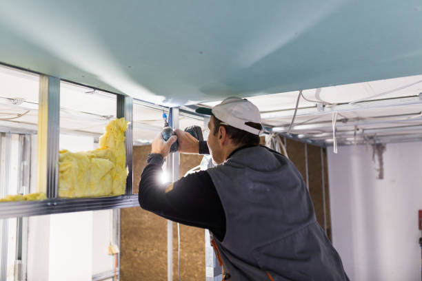 Best Insulation Materials and Products in Appleton City, MO