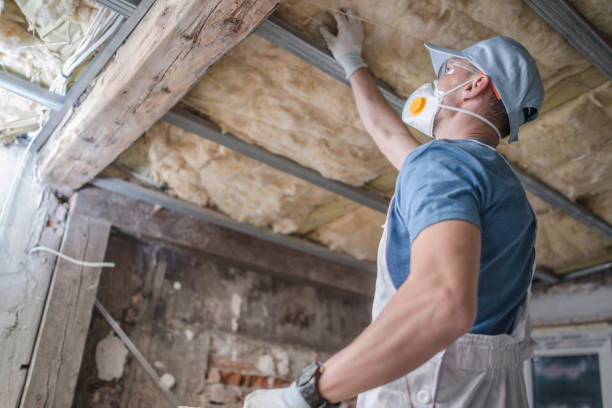 Best Insulation Maintenance and Repair in Appleton City, MO