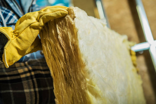 Best Specialty Insulation in Appleton City, MO