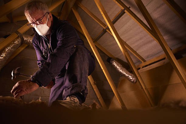 Best Insulation Installation Services in Appleton City, MO
